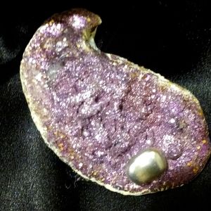 Gorgeous Oyster Shell Refrigerator Magnet